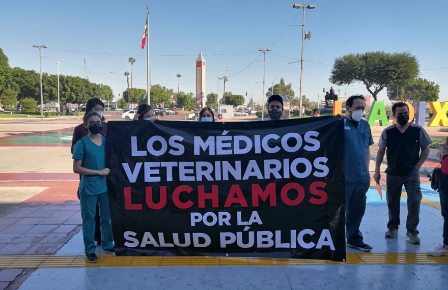 Veterinarios en Mexicali
