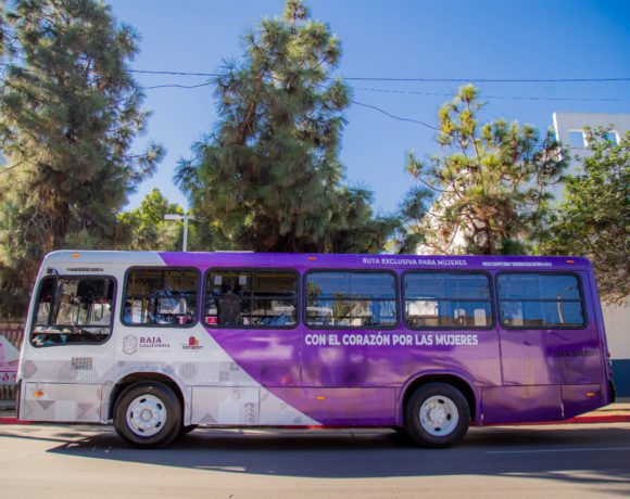 TRANSPORTE VIOLETA