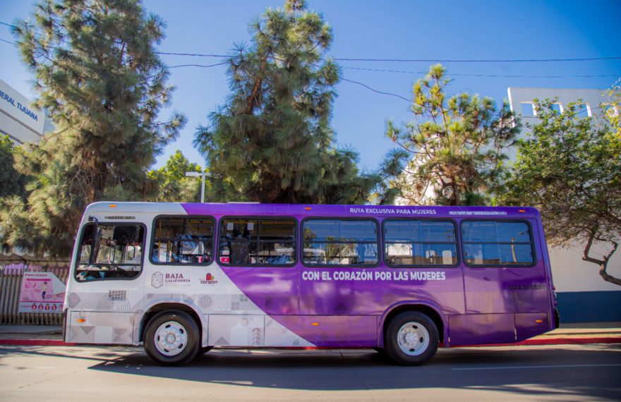 TRANSPORTE VIOLETA