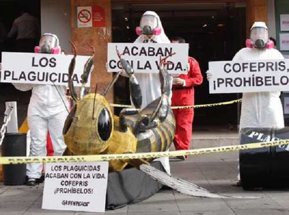 Protesta contra plaguicidas. Foto Yazmín Ortega Cortés / archivo La Jornada