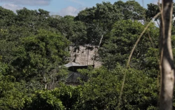 El complejo en Campeche tuvo una ocupación muy temprana y fue habitado casi completamente hasta 1557, cuando todavía era la capital de Acalán. Foto Marco Peláez