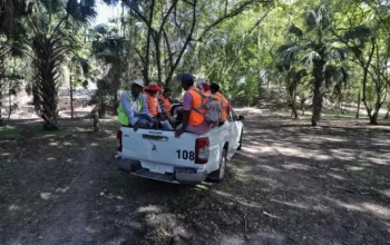 En la zona arqueológica, ubicada a más de cuatro horas en auto de la ciudad de Campeche, se construirá un centro de atención a visitantes.
