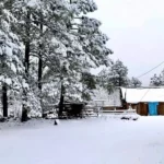 La primera tormenta invernal y el frente frío número 11 propiciaron nevadas en 17 municipios de Durango.