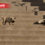 Foto: Omar Martínez / Border Zoom